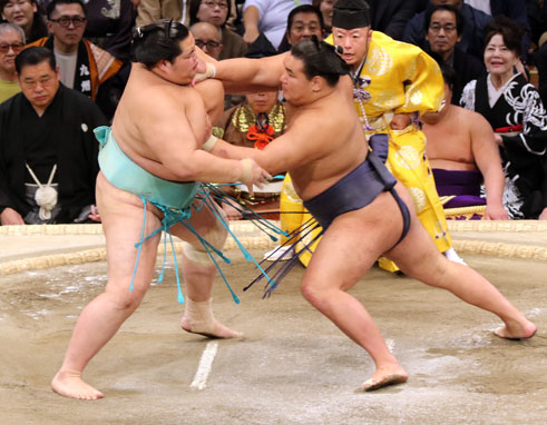 Hoshoryu attacks hard