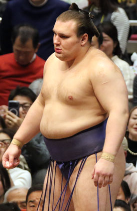 Aonishiki