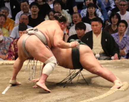 Hokutofuji beats Nishikigi