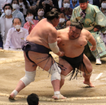 Terunofuji steps out in the final bout