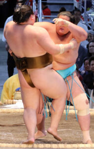 Mono-ii: When Sumo’s Ringside Judges Overrule the Referee