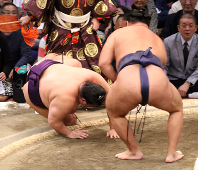Two sumo wrestlers in a bout watched by the gyoji