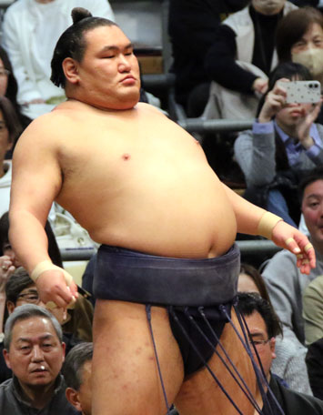 What Is a Sumo Wrestler? The Complete Guide to the Rikishi