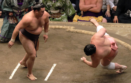 Yusho: The Sumo Championship Explained