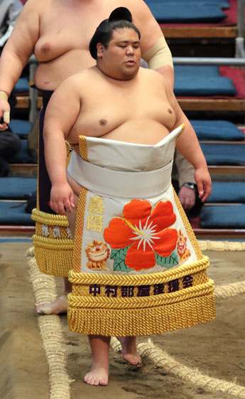 A sumo wrestler wearing an embroidered kesho-mawashi