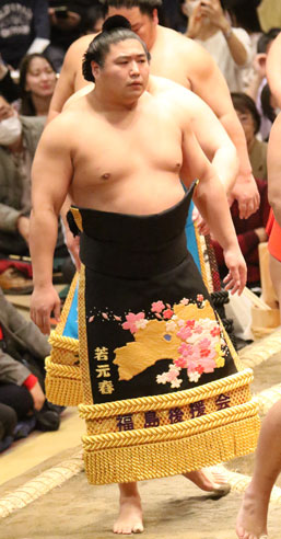 Wakamotoharu in his ceremonial kesho-mawashi apron